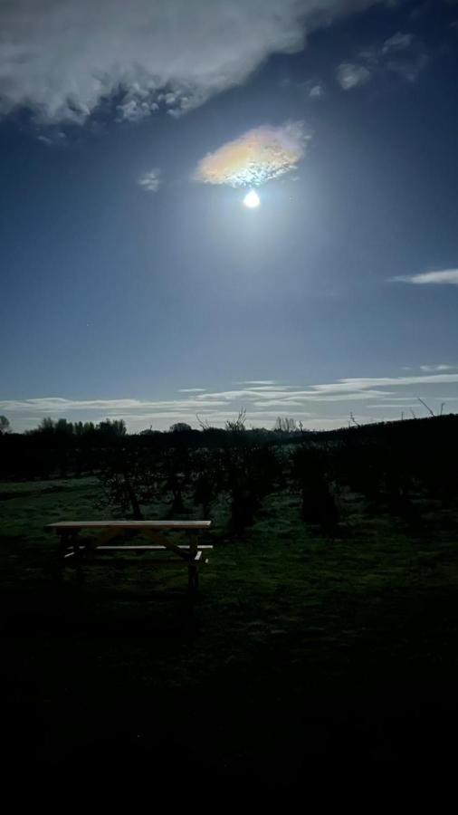 Hotel Orchard Luxe Glamping Pod Dungannon Exterior foto