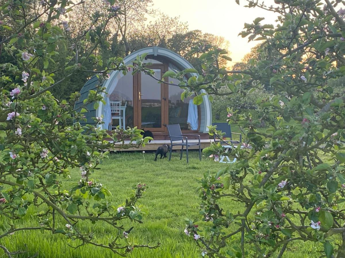 Hotel Orchard Luxe Glamping Pod Dungannon Exterior foto