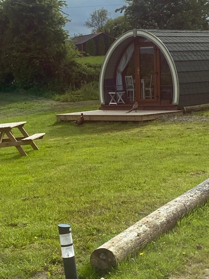 Hotel Orchard Luxe Glamping Pod Dungannon Exterior foto
